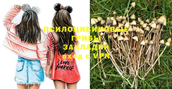 метамфетамин Алексеевка