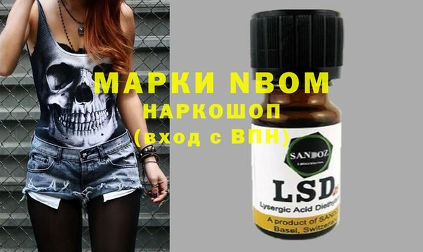 apvp Алзамай